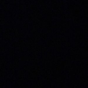 Meet your Posher, Alisha